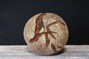 Frankenlaib - fränkisches Bauernbrot mit Kümmel und Sauerteig