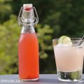 Limonade mit selbstgemachtem Rhabarber-Sirup