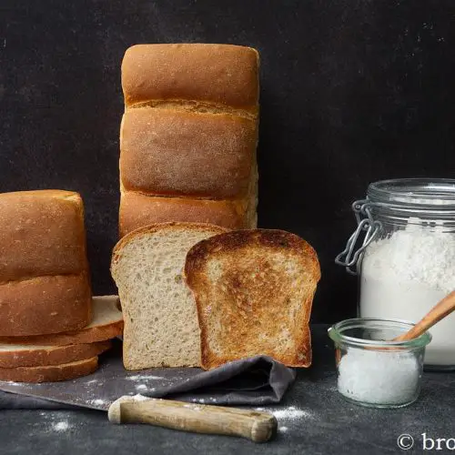 Roggentoast - Rezept für herzhaftes Roggen Toastbrot