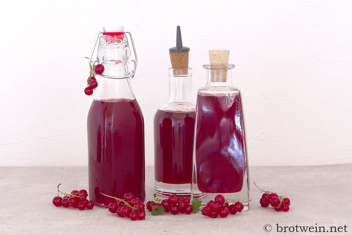Roter Johannisbeersirup - Rezept zum Selber machen
