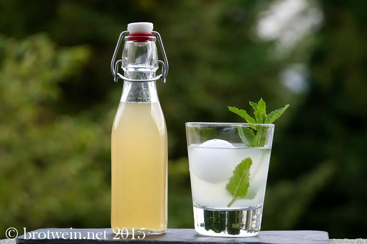 Limonade aus Zitrus-Minz-Sirup mit Ingwer und KadamomLimonade aus Zitrus-Minz-Sirup mit Ingwer und Kadamom