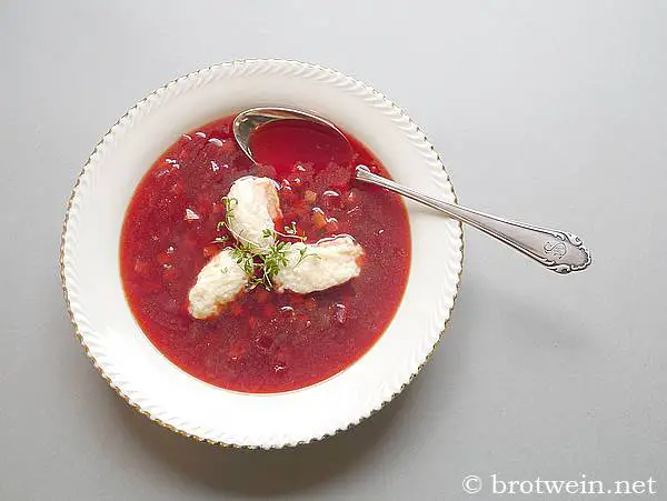 Rote-Bete-Suppe mit Meerettich-Quark-Nocken - Brotwein