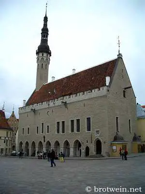 Rathaus in Tallin - Estland