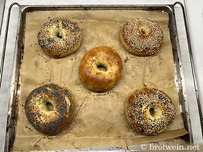 Fertig goldbraun gebackene Bagels