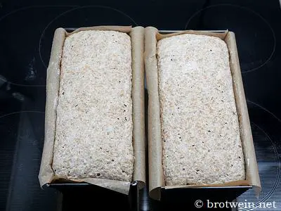 Gut aufgegangen - fertig zum Backen