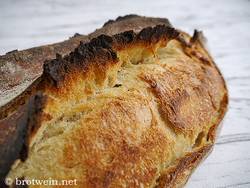 Brot: Pane Pugliese - italienisches Weißbrot mit Lievito Madre und Hartweizenmehl