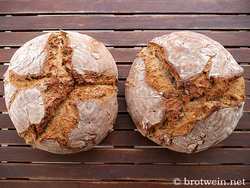 Brot: Walnussbrot mit Roggensauerteig