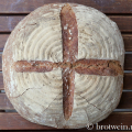 Weizen Dinkel Brot mit Hefe und ohne Sauerteig (einfaches Landbrot)