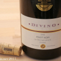 Wein: Divino Pinot Noir 2006 Barrique Nordheim Thüngersheim